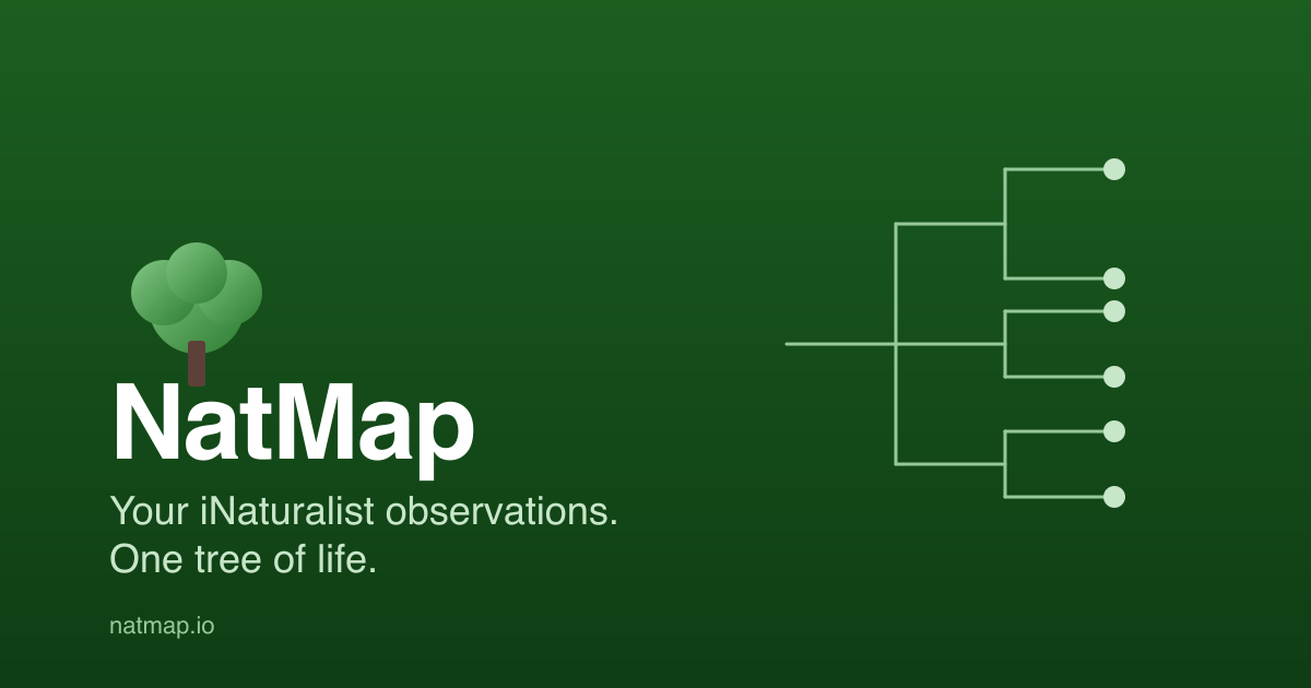 Natops Dataset NatMap — Your iNaturalist observations as a tree of life
